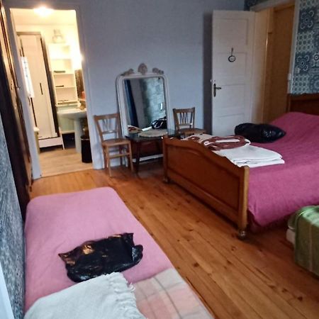 Chez Virginie - Chambre Du Bourg 루르드 외부 사진